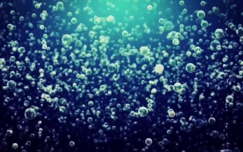Rising Bubbles Windows Animated Wallpaper