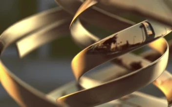 Spiral Spin Windows Animated Wallpaper