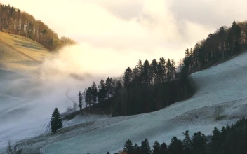 Wave Of Fog Windows Animated Wallpaper