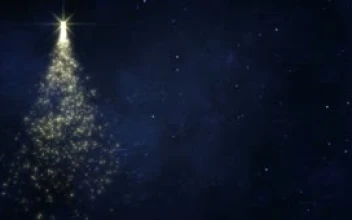 Glittery Spinning Christmas Tree HD
