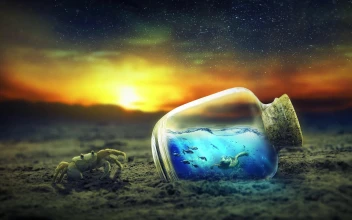 Ocean In a Bottle 4K Abstract