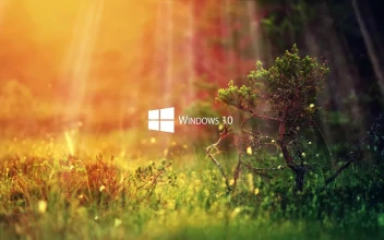 Windows 10 Nature