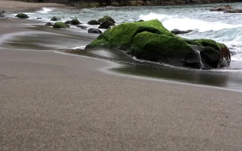 PC Moss on Rocks