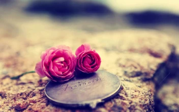 PC Roses Rock
