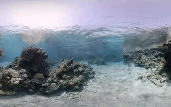 PC Underwater Waves