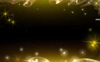 Black Screen Status Color light Video Effects Light Effect Video Free Video Background loops
