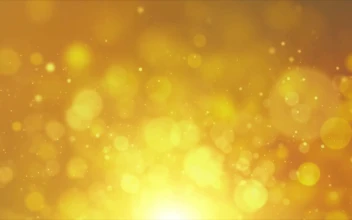 HD Bokeh Particles Flying up Free Video background Loop Golden Particle Bokeh