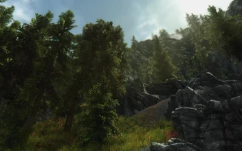 Tranquil Forest Elder Scrolls V Skyrim
