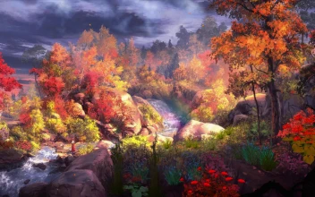 Live Walllpaper HD Woods Landscape