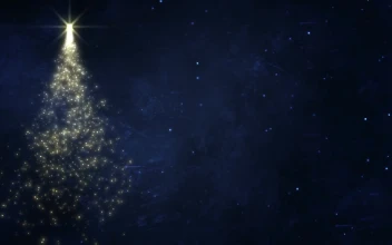 PC Spinning Christmas Tree