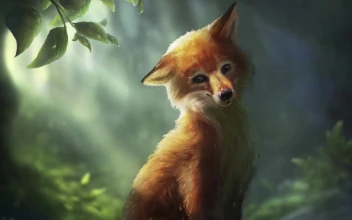 PC Cute Fox
