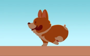 PC Cute Corgi Run Free