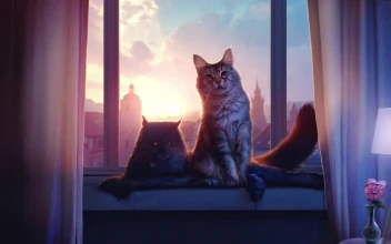 PC Cats by the Window Free