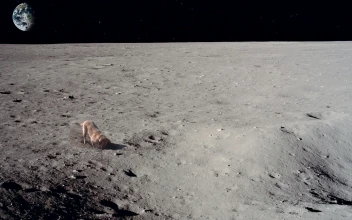 PC Dog on the Moon Free