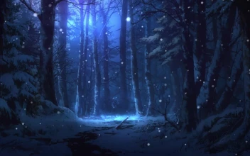 PC EDIT Winter Forest Free