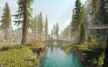 PC Stream Nature Free