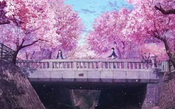 PC Sakura Petals Bridge Free