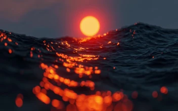 PC Slow Mo Ocean Free
