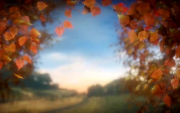 PC Falling Leaves Free