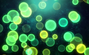 Green Natural Watercolor Textures And Circles Background