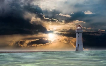 Landscape 17060 Original Free Stock Video