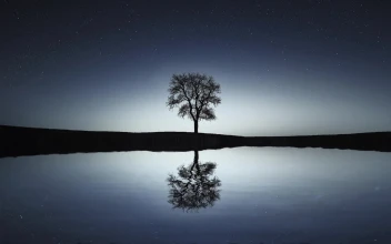 Naturallandscapes 1613 Original Free Stock Video