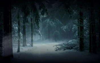 Trees 61992 Original Free Stock Video