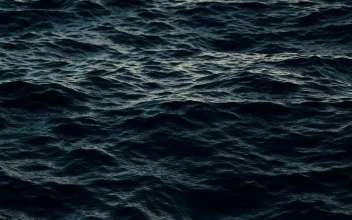 Waves 71122 Free Stock Video