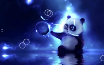 Panda Bubbles HD For PC