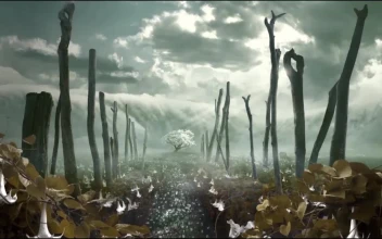 Bliss Tree HD For PC
