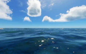 Ocean Stranded Deep HD For PC