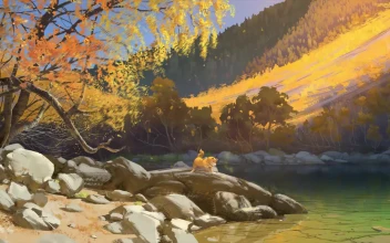 Shiba Inu Playing At The Riverside In The Morning HD For PC