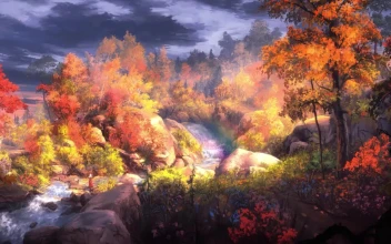 Fall Forest HD For PC