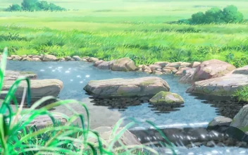 Stream In The Meadow HD For PC