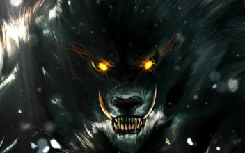 Big Wolf In The Snow HD For PC