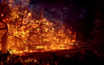 Forest Fire Life Is Strange HD For PC