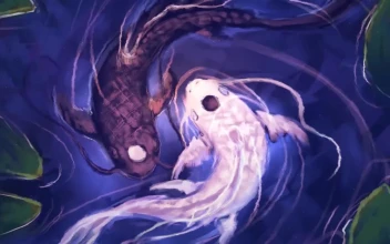 Yin Yang Koi Fish Black And White HD For PC