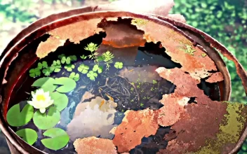 Drum Fish Pond HD For PC
