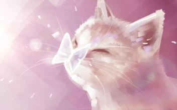 Cat And Butterfly HD For PC