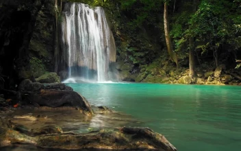 Waterfall In The Jungle HD For PC