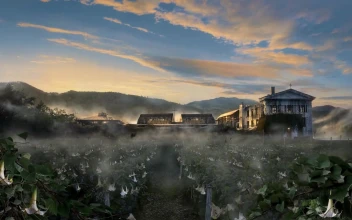 Faith Region Far Cry 5 HD For PC