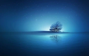 Lonely Tree Under The Night Stars HD For PC