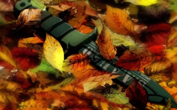 Knife Assassination Classroom HD For PC