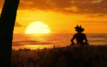 Goku Watching Sunset Dragon Ball HD For PC