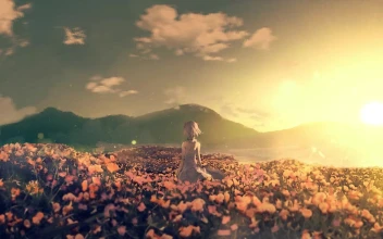 Anime Girl In Flower Field HD For PC