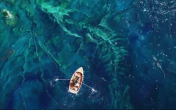 Dragon Skeleton Underwater HD For PC