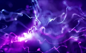 Particle Matter HD For PC