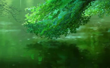 Raining In Garden Of Words HD For PC