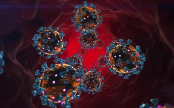 Stock Video 3d animation of a bloodstream with viruses PC