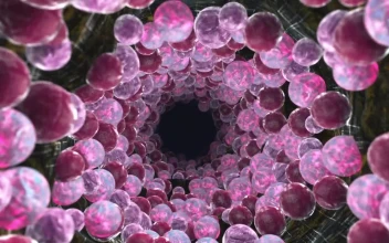 Stock Video 3d animation of a tunnel with spheres PC